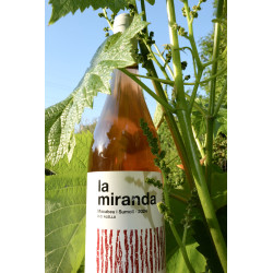 La Miranda. El vermell de la DO Alella