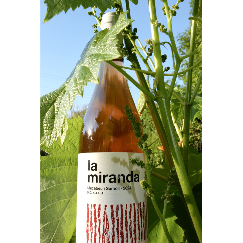 La Miranda. El vermell de la DO Alella La Miranda. El vermell de la DO Alella
