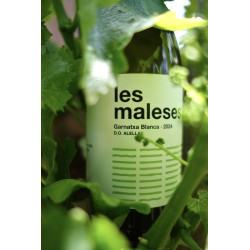Les Maleses. Garnatxa blanca de la DO Alella
