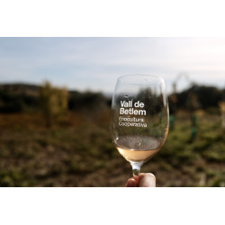 Val per visita i tast de vins a la nostra vinya