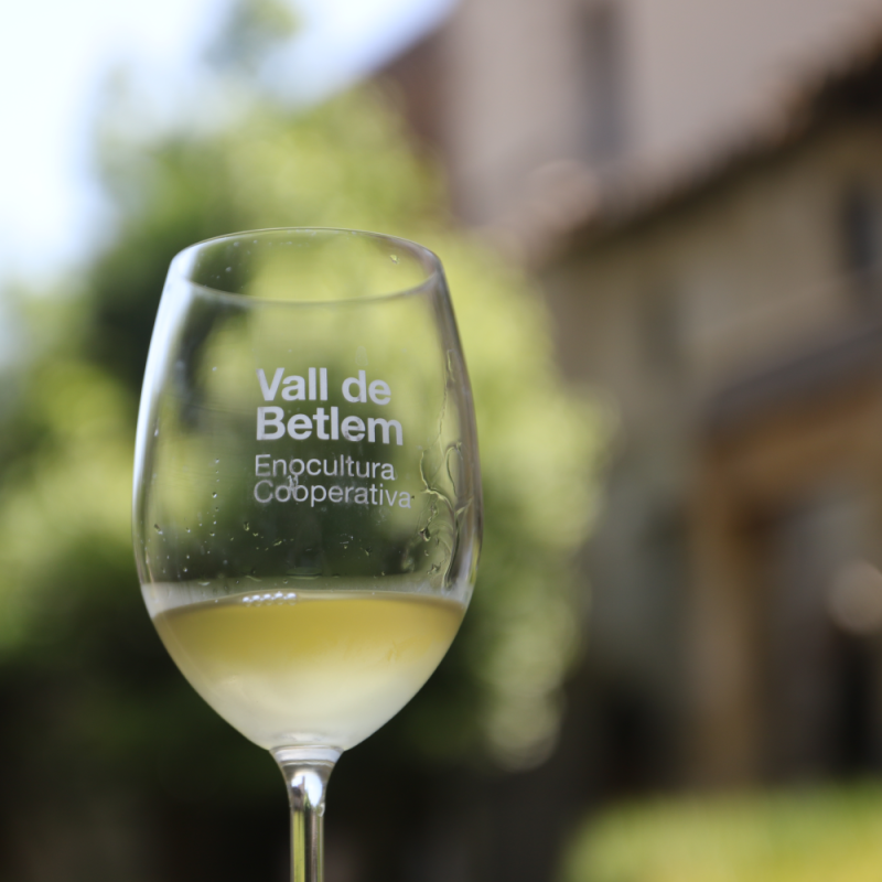 Vi+ Visita guiada i tast de vins a la vall de betlem