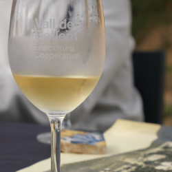 (13-Dec) Visita a la vinya i tast dels nostres vins